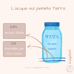 L'acqua sul pianeta Terra è composta per il 97,5% di acqua salata, il 2,5% da acqua dolce e solo dallo 0.1% da acqua utile per l'uso umano 